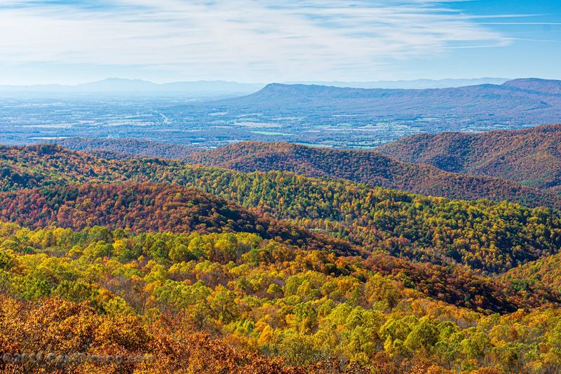 Fall Foliage That Turns the Valley Into a Masterpiece Fall Foliage That Turns the Valley Into a Masterpiece