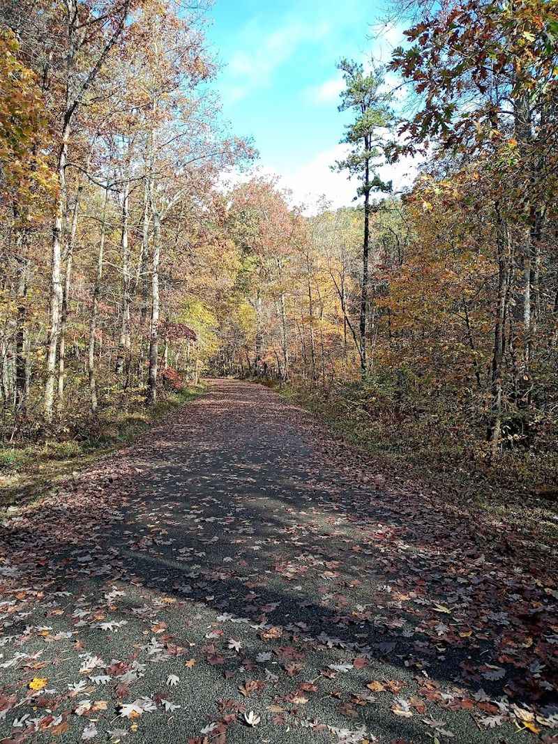 Fall Foliage That Turns the Whole Place Into a Painting Fall Foliage That Turns the Whole Place Into a Painting