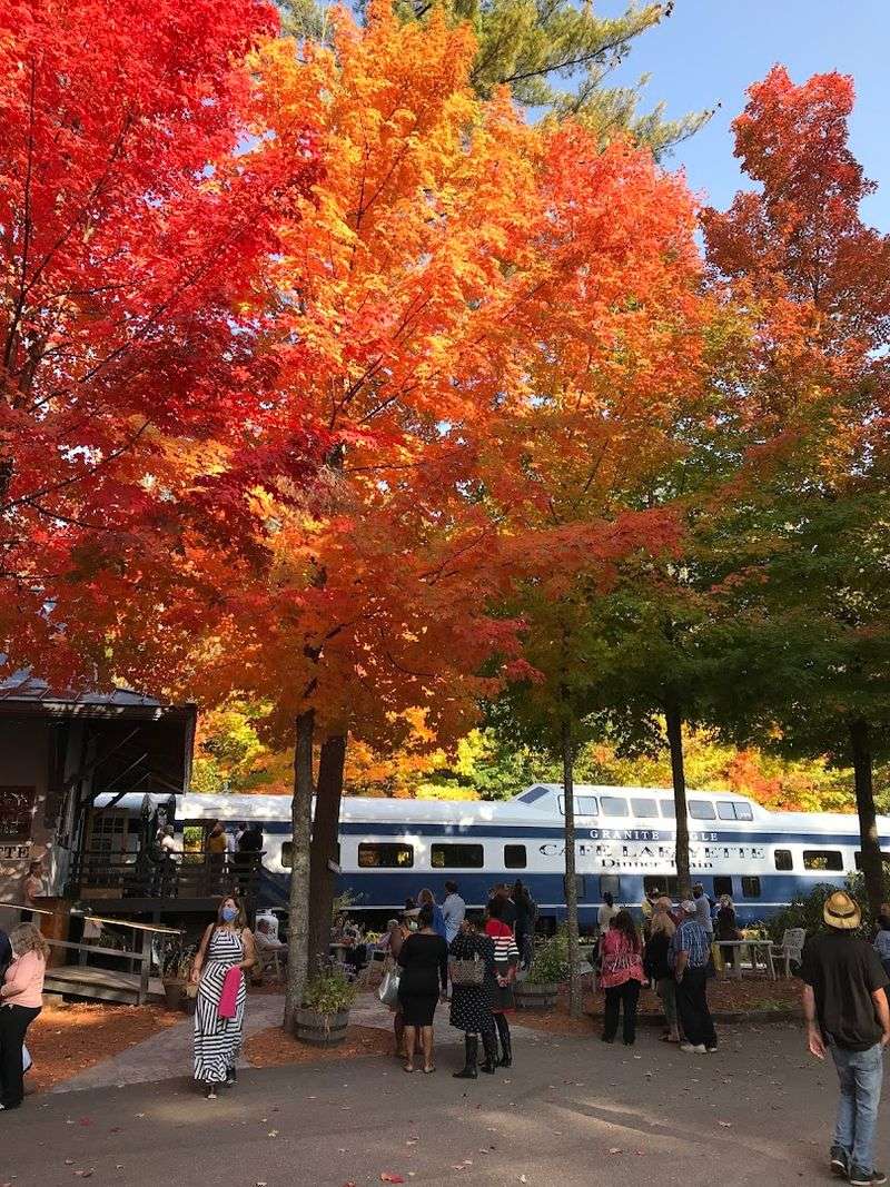 Fall Foliage Turns This Train Ride Into Pure Magic