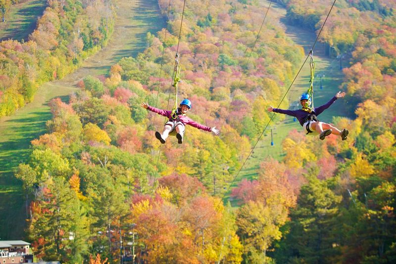 Fall Foliage Turns the Whole Mountain Into Art