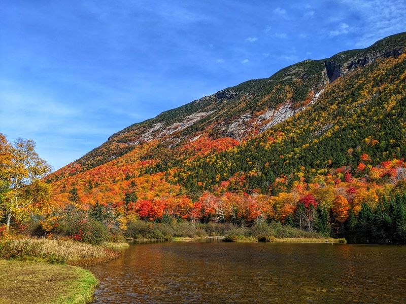 Fall Foliage on the Loop That Belongs on a Postcard
