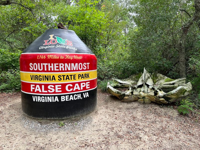 False Cape State Park, Virginia Beach