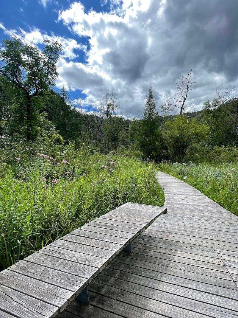 Family-Friendly Trails Built for All Ages