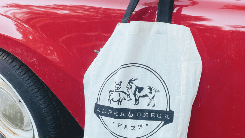 Farm Animals That Make Every Visit More Fun