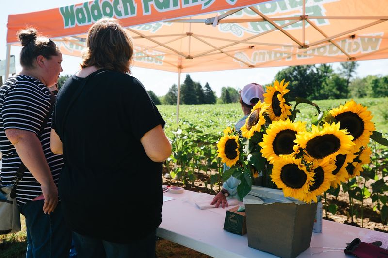 Farm-Fresh Food That Actually Hits the Spot
