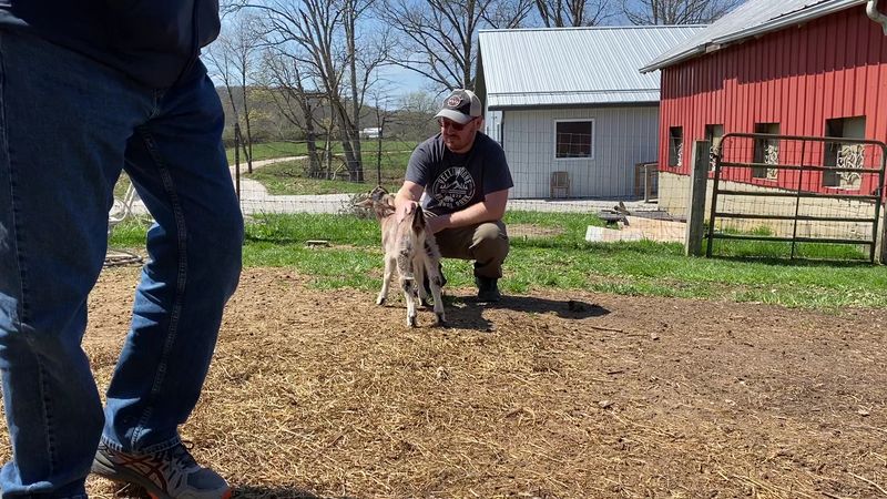 Farm Tours Keep Things Personal Farm Tours Keep Things Personal
