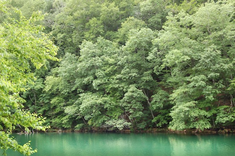 Fayerdale and the Iron Furnace: A Neighboring Ghost Town with Its Own Watery Fate Fayerdale and the Iron Furnace: A Neighboring Ghost Town with Its Own Watery Fate