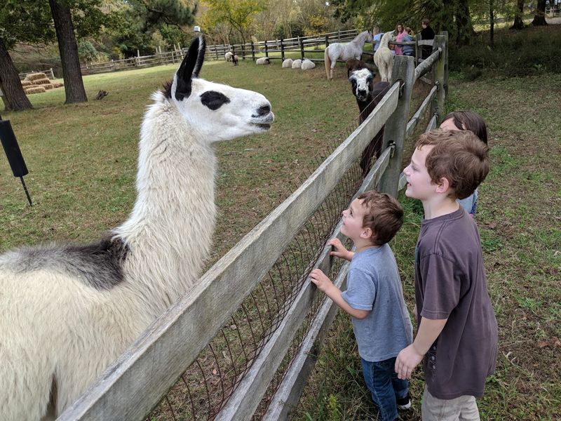 Feeding Time Is Chaotic, Joyful, and Completely Unmissable