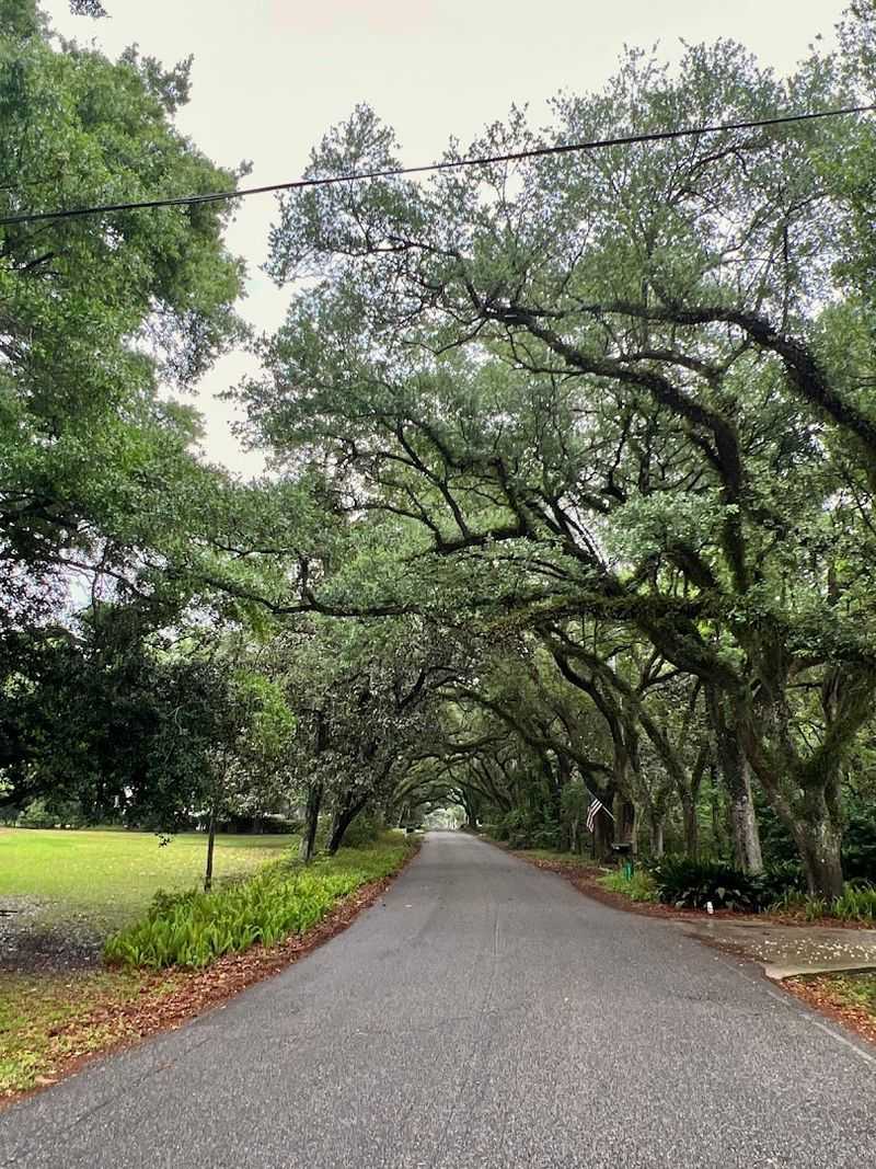 Feel the Rare Calm of a Town That Has Chosen to Stay Small and Unhurried