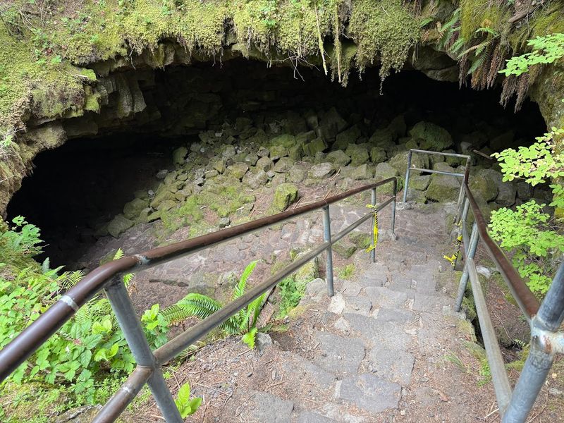 Finding The Forest Entrance