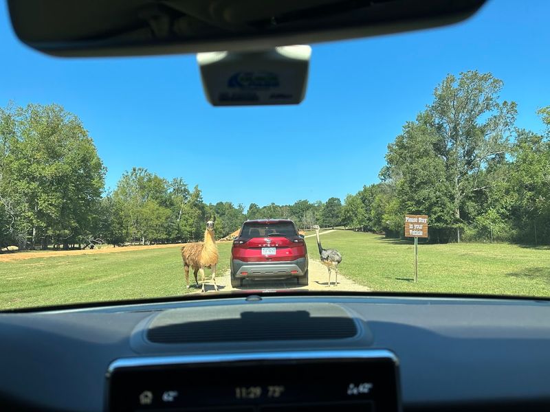 Finding The Ranch Without Any Fuss