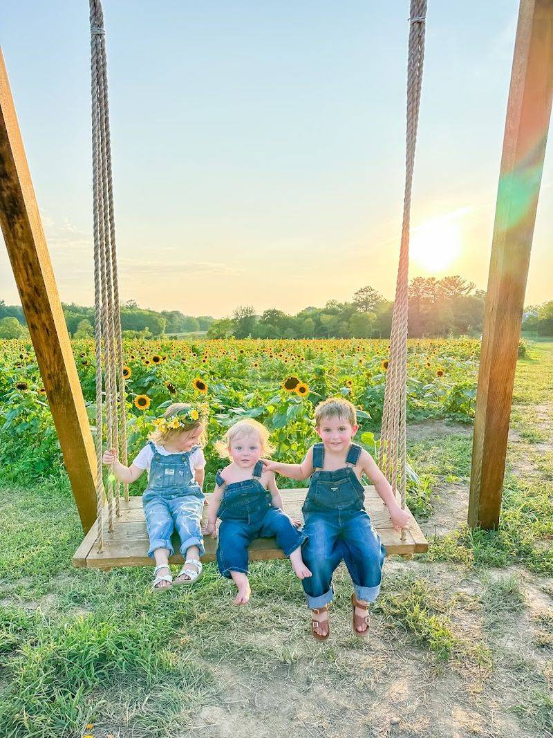 Finding Your Way to Burnside Farms and Planning Your Visit Finding Your Way to Burnside Farms and Planning Your Visit