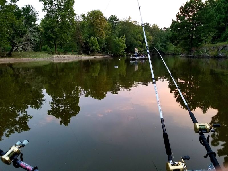Fishing Along the Lake's Long, Quiet Shoreline Fishing Along the Lake's Long, Quiet Shoreline