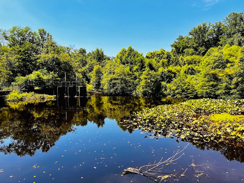 Fishing, Canoeing, and Getting Out on the Water