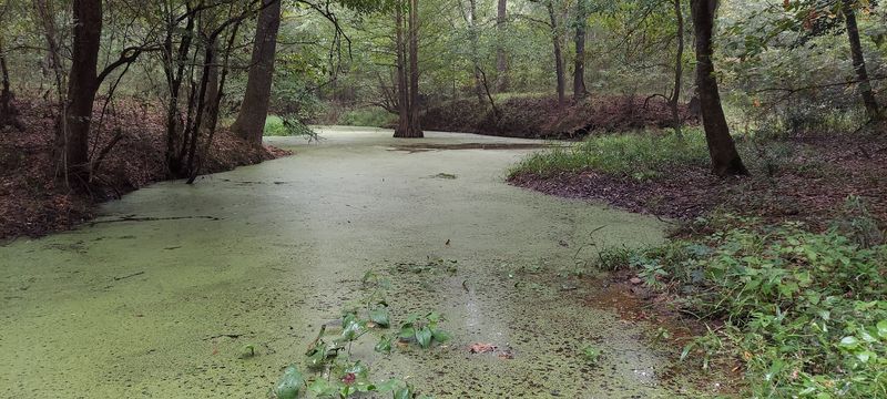 Fishing, Hunting, and Getting Genuinely Off the Beaten Path