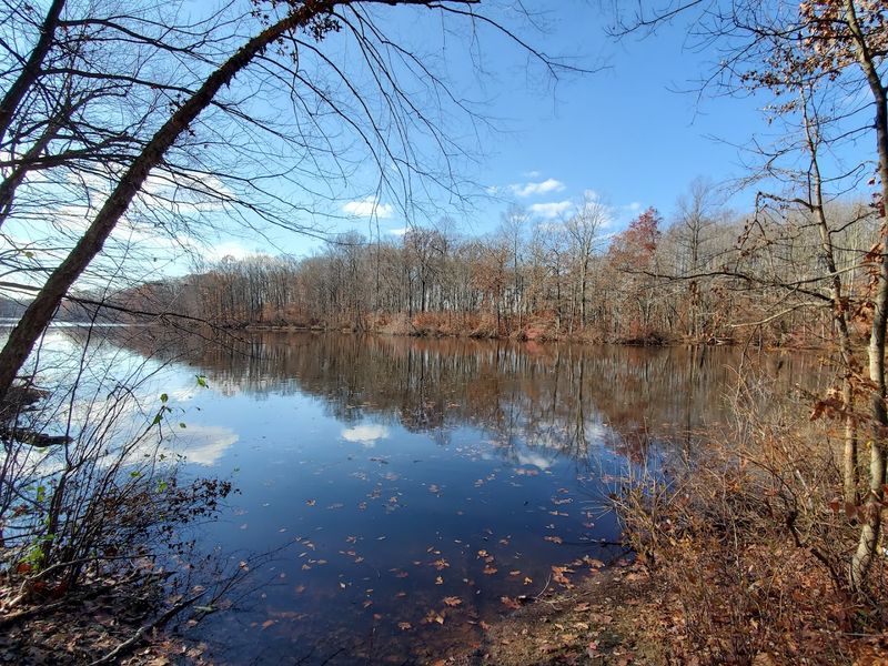 Fishing and Paddling on the Peaceful Pond Waters
