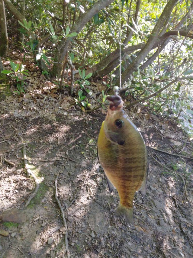 Fishing at Little Beaver State Park