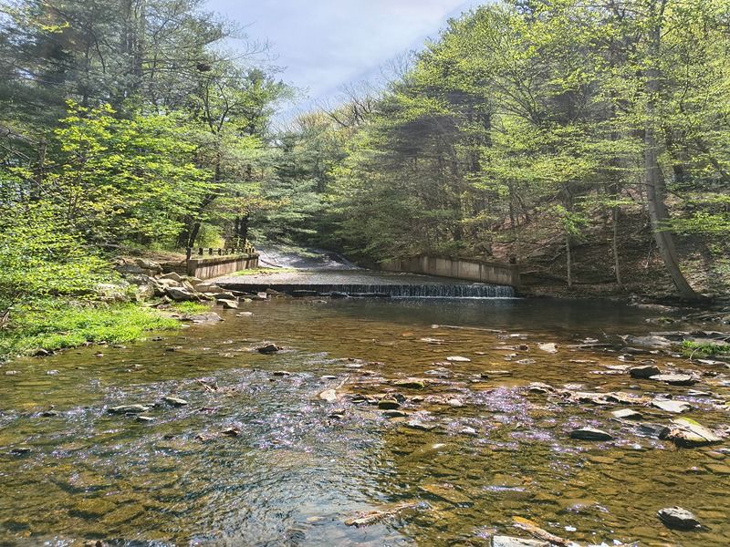 Fishing at the Upper Lake, a Quiet Angler's Paradise Fishing at the Upper Lake, a Quiet Angler's Paradise