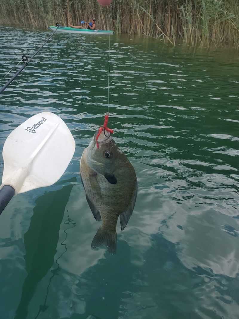 Fishing in One of New Jersey's Most Unusual Settings