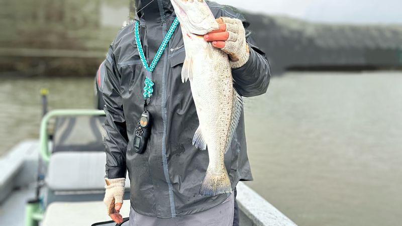 Fishing on Bolivar, Where the Gulf Meets Your Fishing Line