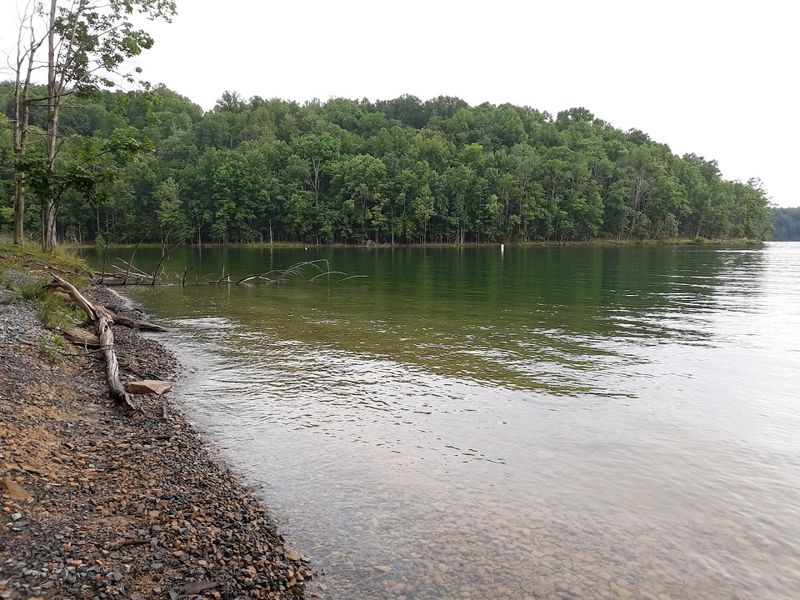 Fishing on a Lake Built for It