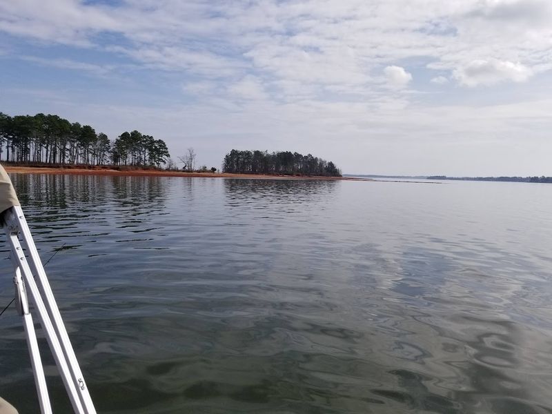 Fishing the Lake Stocked With Catfish and Sunfish Fishing the Lake Stocked With Catfish and Sunfish