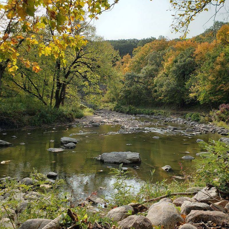 Fishing the Redwood River for Wild Trout
