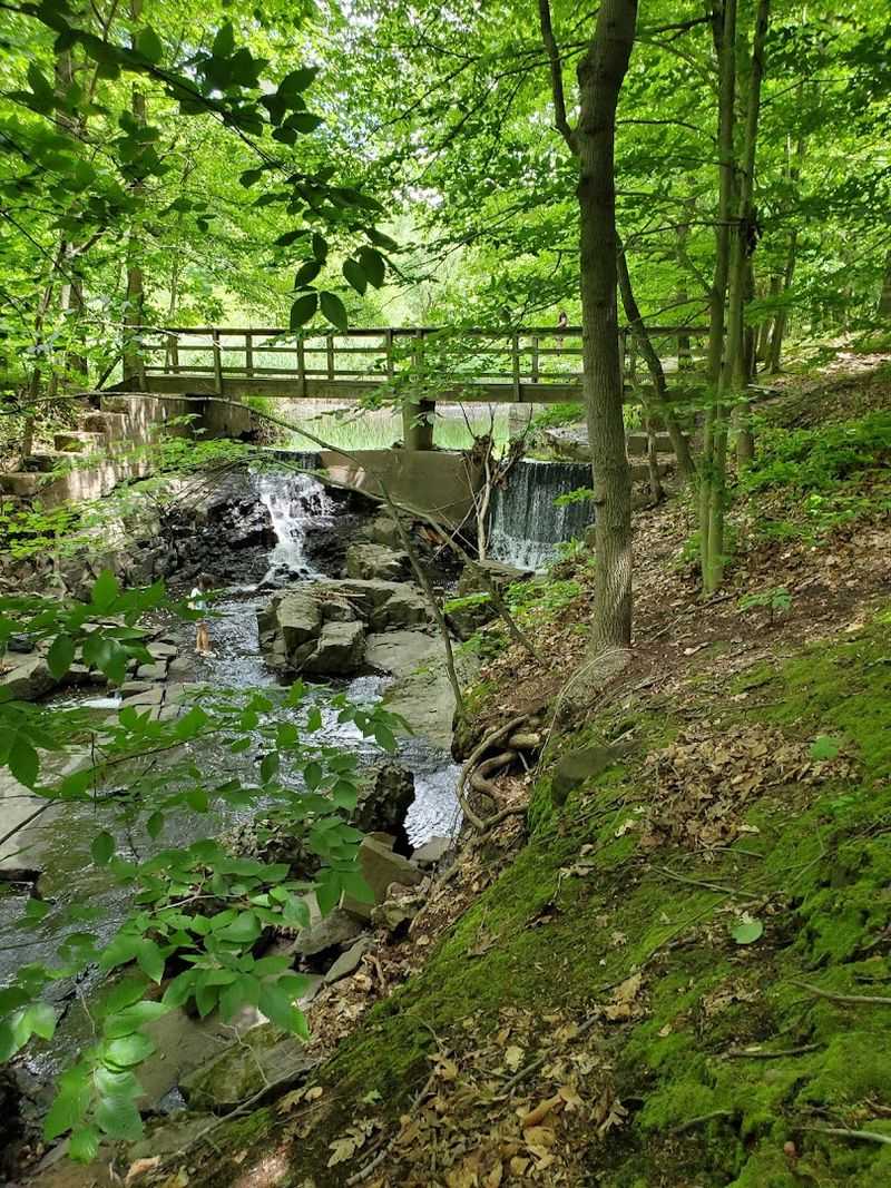 Flat Rock Brook Nature Center