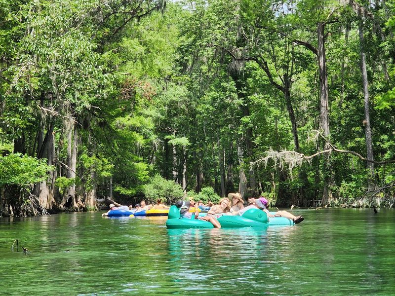Floating The River Is The Whole Mood