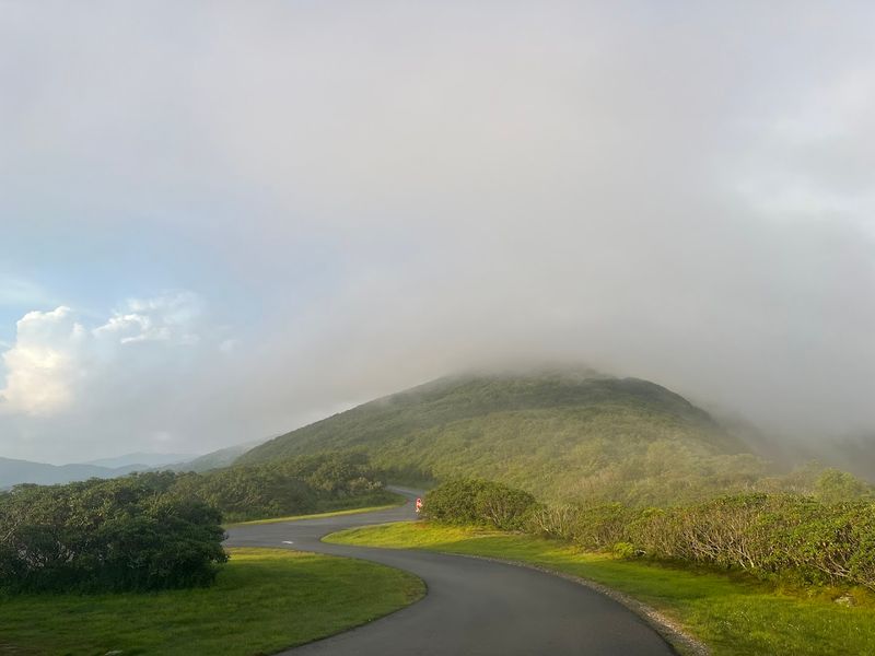 Fog Makes It Even Better