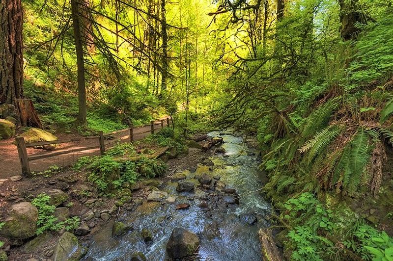 Forest Park, Portland, Oregon