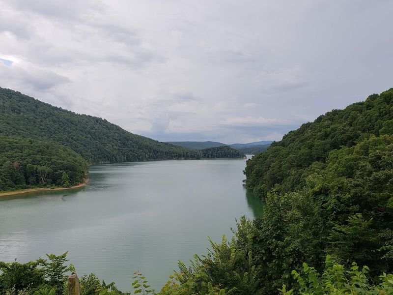 Forested Shoreline That Stays Wild on Purpose Forested Shoreline That Stays Wild on Purpose