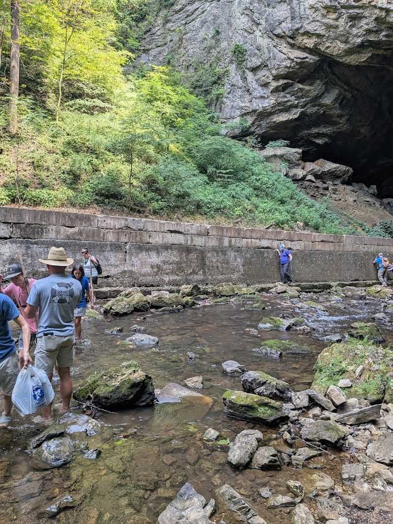 Fossil Hunting Along the Creek Bed Fossil Hunting Along the Creek Bed