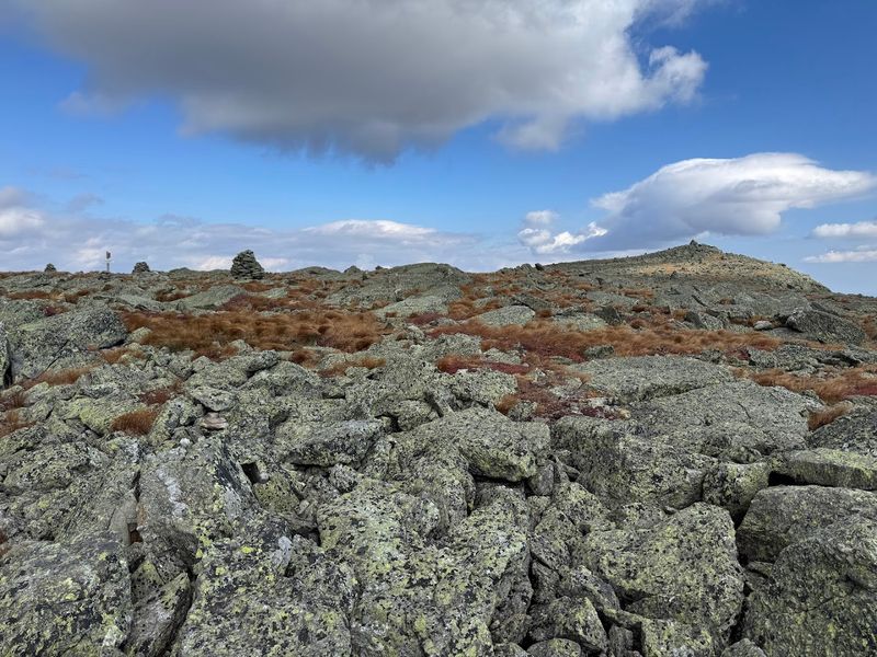 Four Ecological Zones in One Epic Drive
