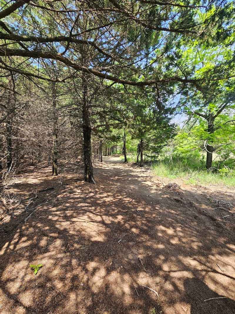 Frank Raab Nature Trail: A Walk Through Living Prairie