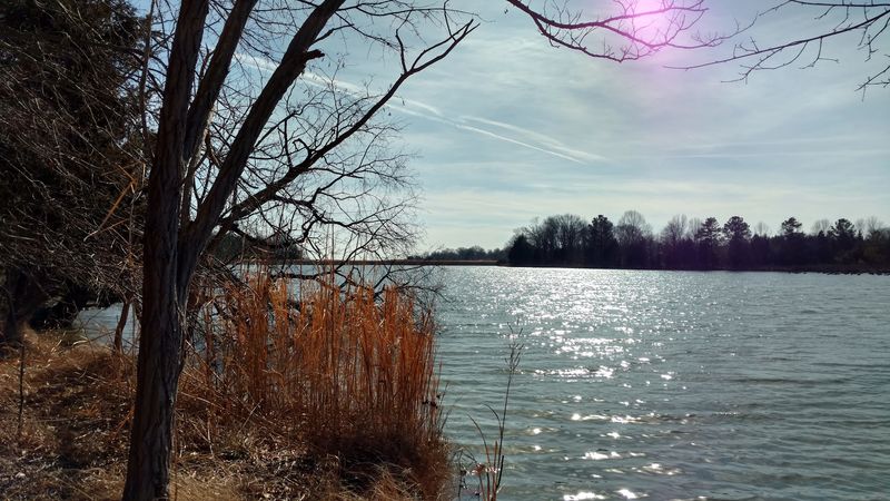 Franklin Point State Park