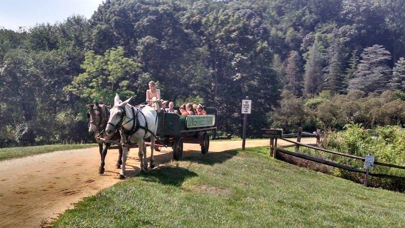 Free Admission and Year-Round Access at Holmdel Park