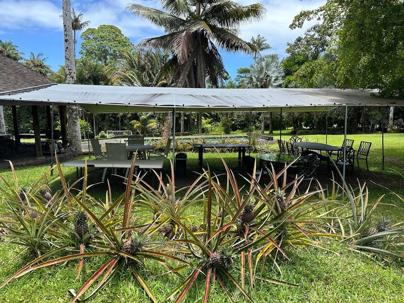 Free Farm Tours That Are Worth Every Minute