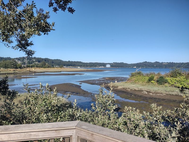 Fresh Air Along Yaquina Bay