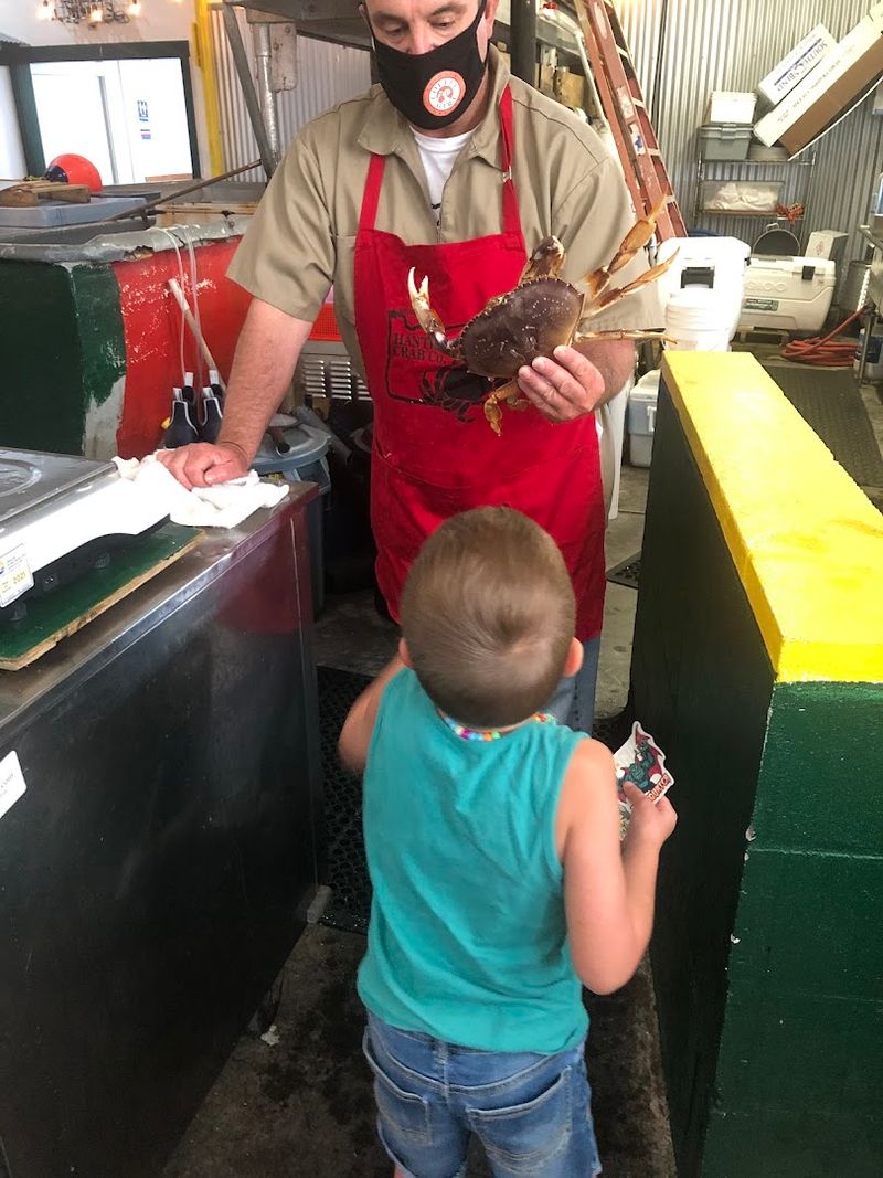 Fresh Dungeness Crab That Locals Actually Brag About
