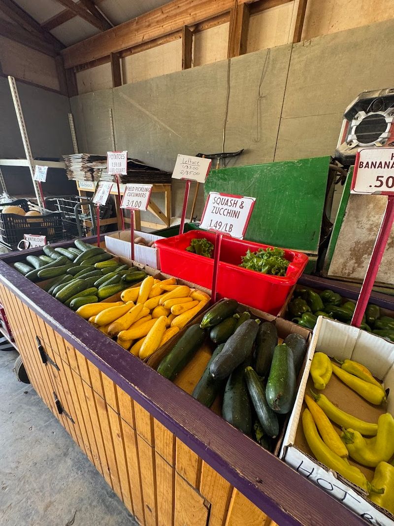 Fresh Produce Straight From the Field