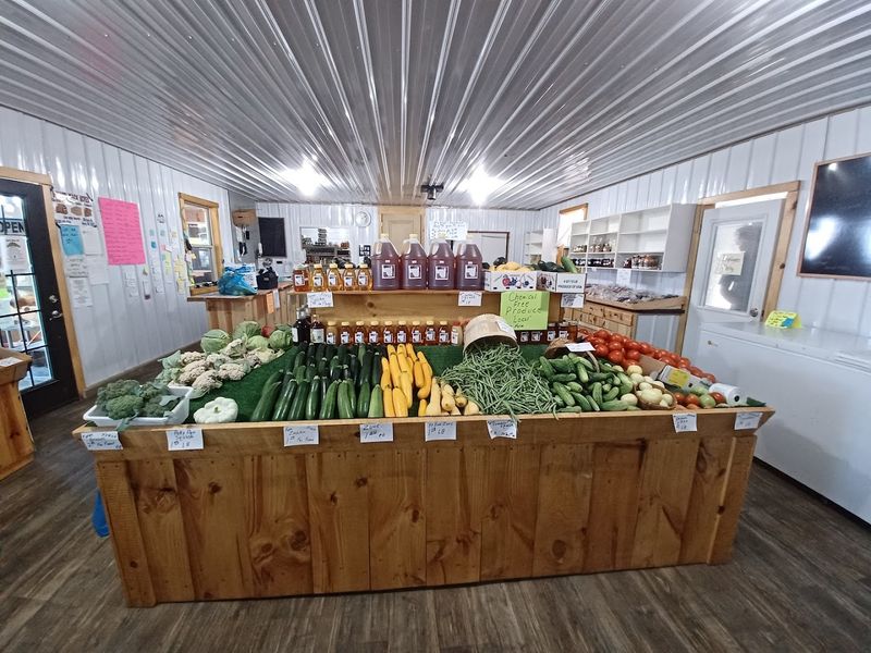 Fresh Produce Straight From the Fields