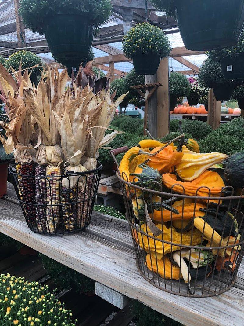 Fresh Produce Straight from the Season