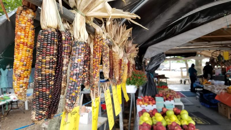 Fresh Vegetables and Locally Grown Produce Worth the Drive