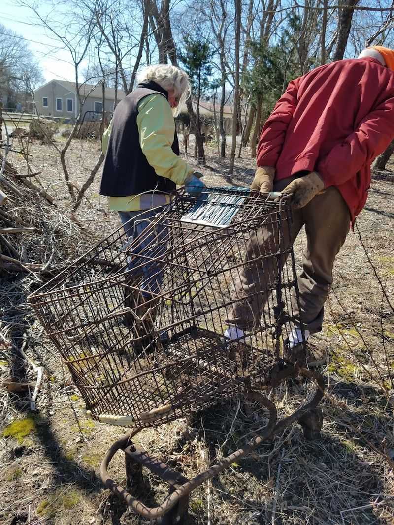 Friends of Cape May National Wildlife Refuge