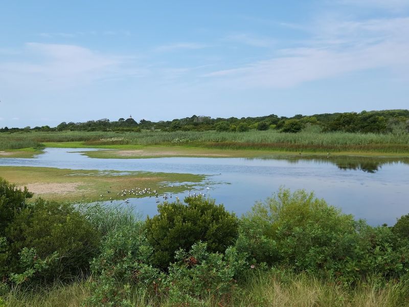 From Cattle Grazing to Conservation