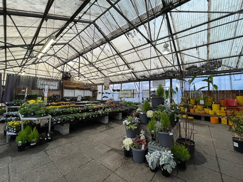 Fruit Trees and Specialty Plants for the Dedicated Home Grower Fruit Trees and Specialty Plants for the Dedicated Home Grower