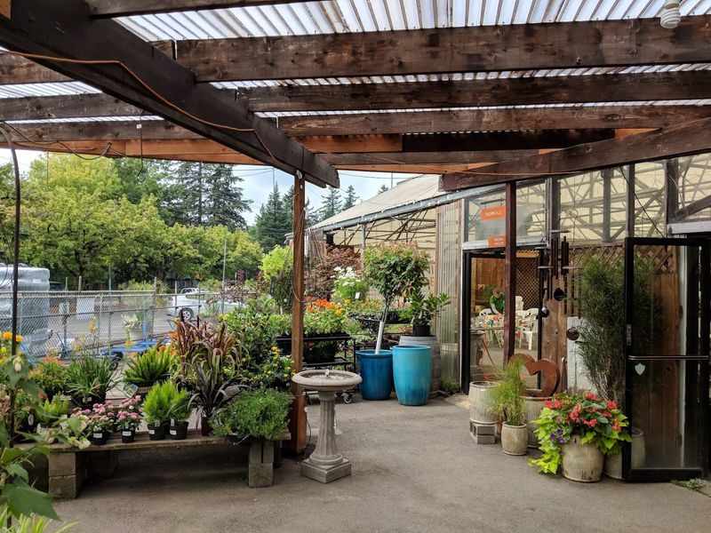 Full-Service Landscape Design for Projects Big and Small Full-Service Landscape Design for Projects Big and Small