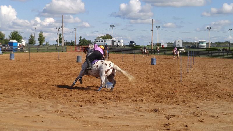 Fun Contests and Games That Keep Everyone Entertained