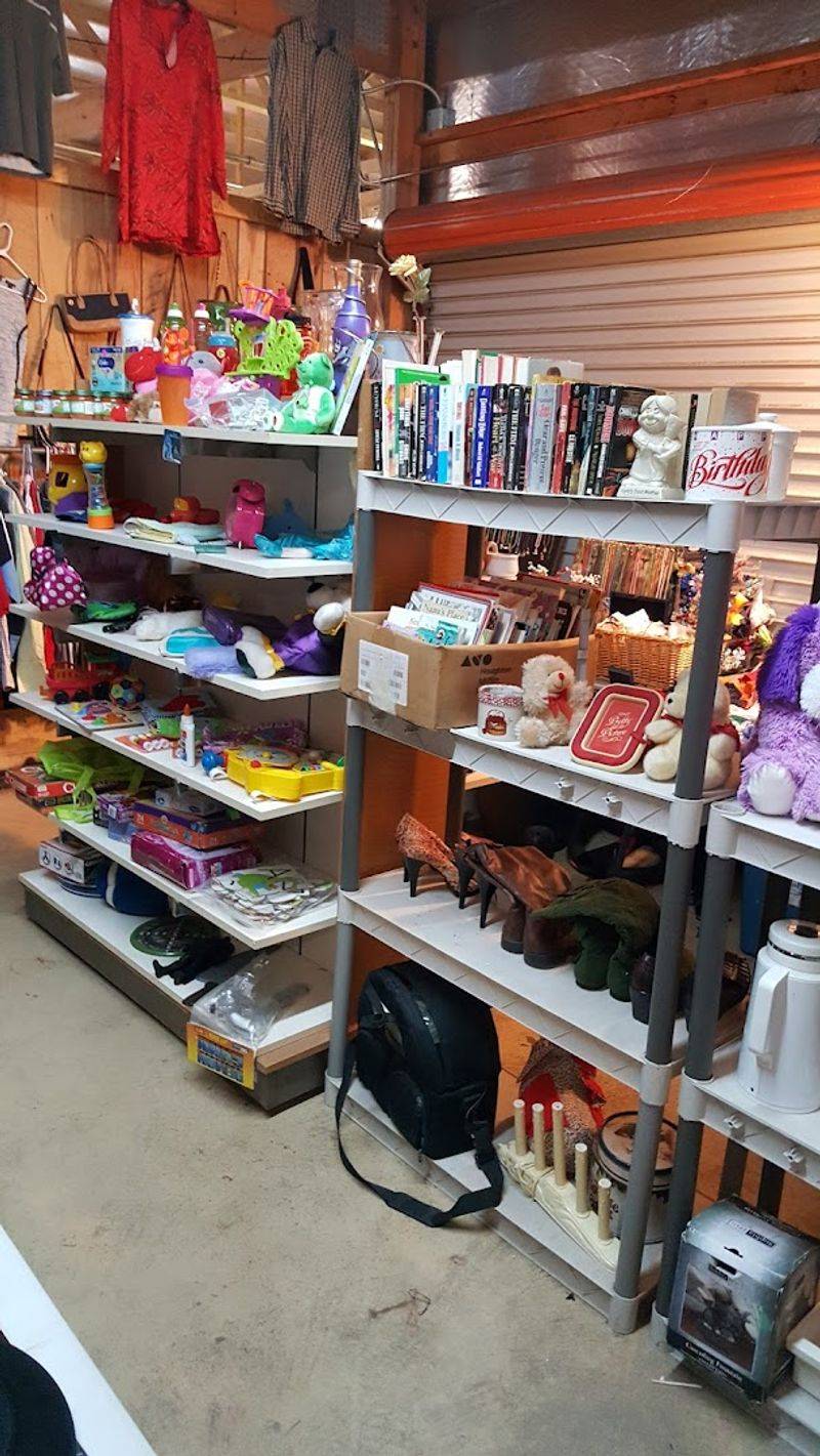 Furniture, Books, Jewelry, and Everything In Between
